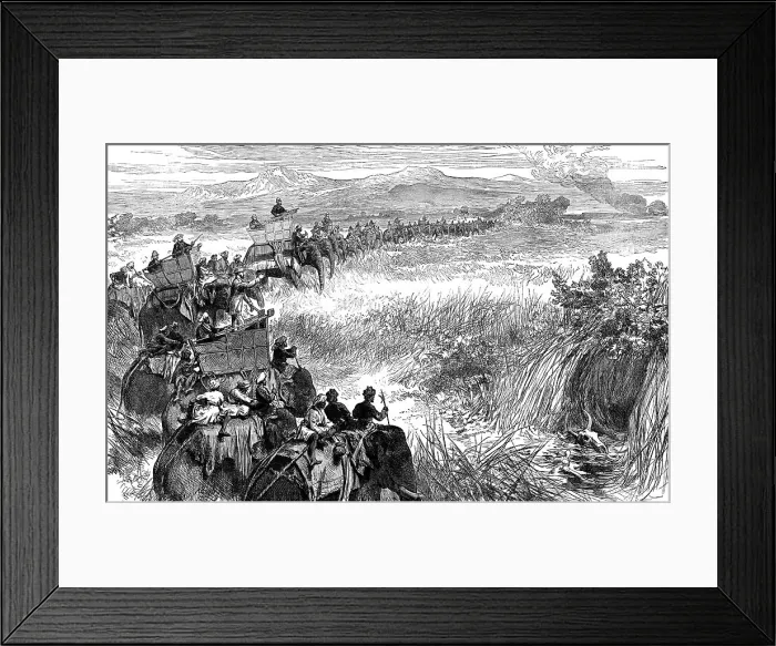 Framed Print : Beating the Jungle for Tigers, 1876. Creator: Unknown Framed Print : Beating the Jungle for Tigers, 1876. Creator: Unknown