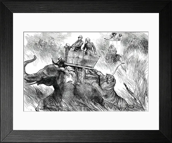 Framed Print : The Prince of Wales's Elephant charged by a Tiger, 1876. Creator: C.R Framed Print : The Prince of Wales's Elephant charged by a Tiger, 1876. Creator: C.R