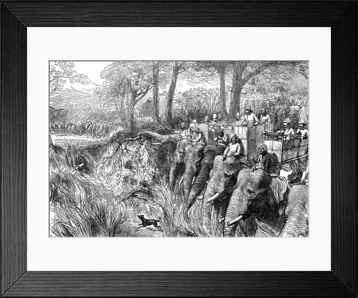 Framed Print : Crossing a River in the Terai, 1876. Creator: C.R Framed Print : Crossing a River in the Terai, 1876. Creator: C.R