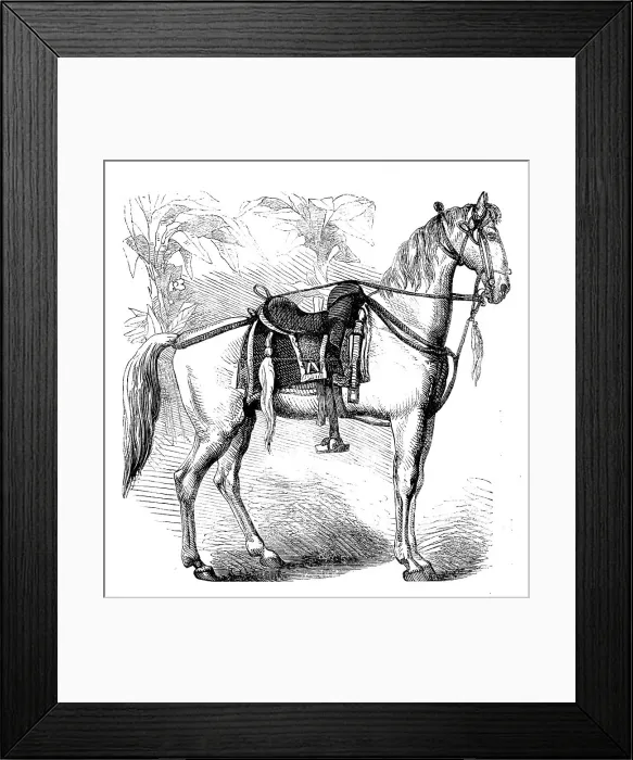 Framed Print : Sketches of Native Life in India - Sikh Horse, 1858. Creator: Unknown Framed Print : Sketches of Native Life in India - Sikh Horse, 1858. Creator: Unknown