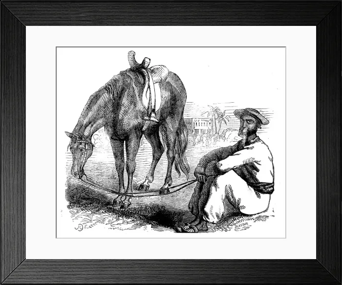 Framed Print : Sketches of Native Life in India - a Calcutta Syce, 1858. Creator: Unknown Framed Print : Sketches of Native Life in India - a Calcutta Syce, 1858. Creator: Unknown