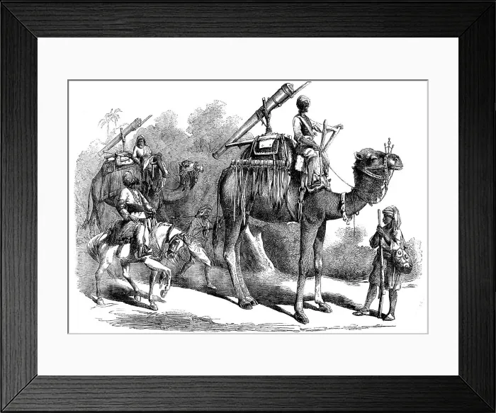 Framed Print : Camel Jingalls, 1858. Creator: Unknown Framed Print : Camel Jingalls, 1858. Creator: Unknown