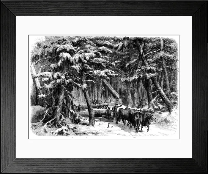 Framed Print : Lumbering in New Brunswick - Lumbermen at Work in the Forest, 1858. Creator: Unknown Framed Print : Lumbering in New Brunswick - Lumbermen at Work in the Forest, 1858. Creator: Unknown