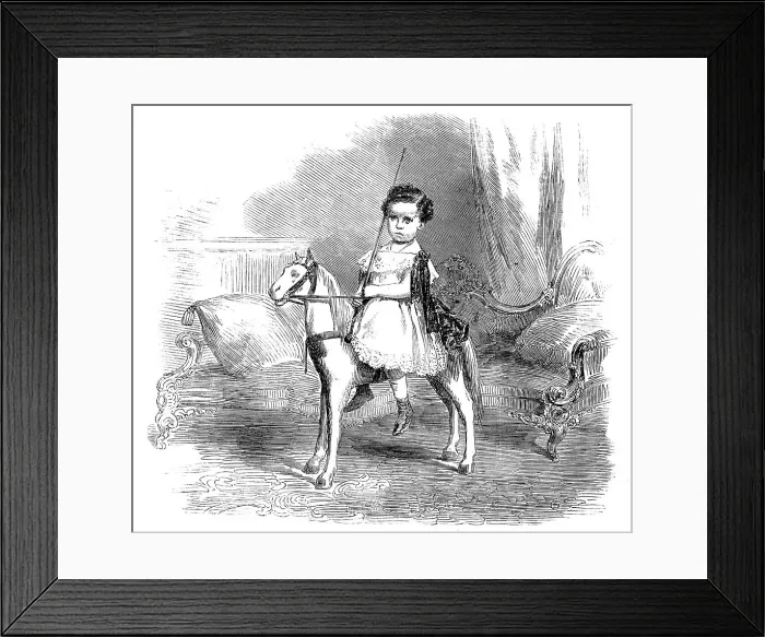Framed Print : The Prince Imperial of France, 1858. Creator: Unknown Framed Print : The Prince Imperial of France, 1858. Creator: Unknown