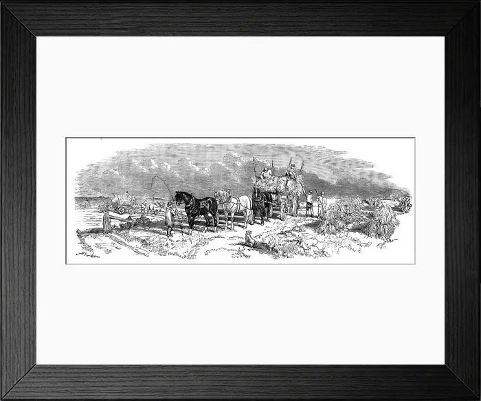 Framed Print : Harvest Operations - Carrying, 1858. Creator: Unknown Framed Print : Harvest Operations - Carrying, 1858. Creator: Unknown