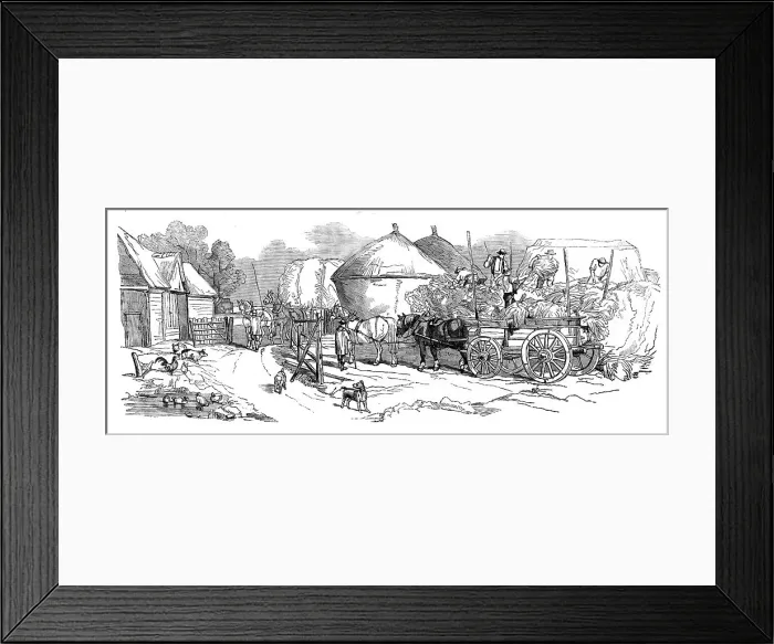 Framed Print : Harvest Operations - Stacking, 1858. Creator: Unknown Framed Print : Harvest Operations - Stacking, 1858. Creator: Unknown