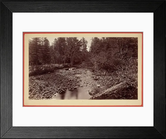 Framed Print : Long Lake, South From Floating Bridge, Printed 1880 circa. Creator: Seneca Ray Stoddard Framed Print : Long Lake, South From Floating Bridge, Printed 1880 circa. Creator: Seneca Ray Stoddard