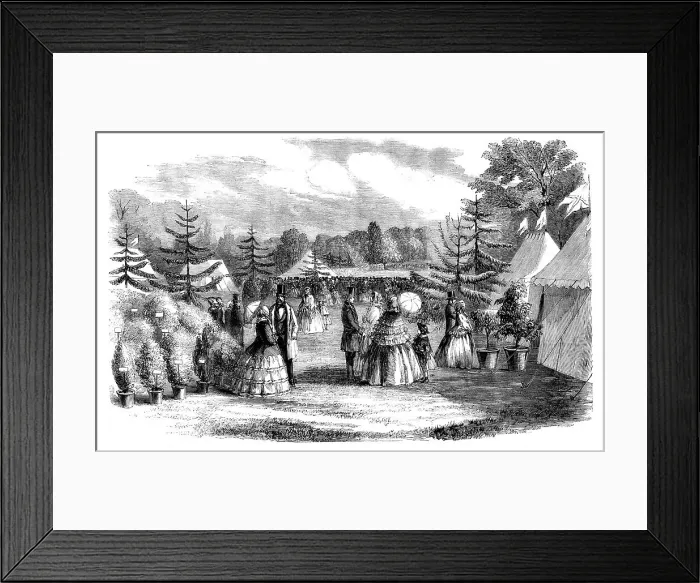 Framed Print : The Towcester Flower Show, 1858. Creator: Unknown Framed Print : The Towcester Flower Show, 1858. Creator: Unknown