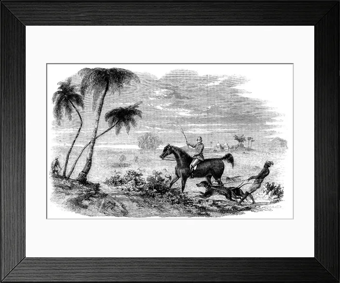 Framed Print : Antelope-Hunting in India - Antelopes driven from Cover, 1858. Creator: Unknown Framed Print : Antelope-Hunting in India - Antelopes driven from Cover, 1858. Creator: Unknown