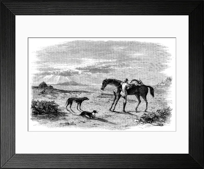 Framed Print : Antelope-Hunting in India - Preparing to Return, 1858. Creator: Unknown