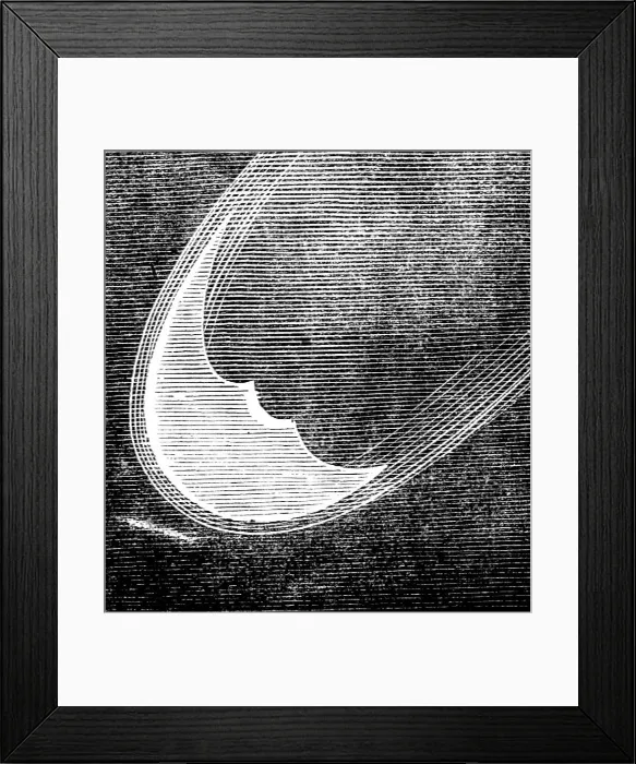 Framed Print : Telescopic Appearances of Donati's Comet, as seen from the Cambridge Observatory, Sept 25... 1858. Creator: Unknown Framed Print : Telescopic Appearances of Donati's Comet, as seen from the Cambridge Observatory, Sept 25... 1858. Creator: Unknown