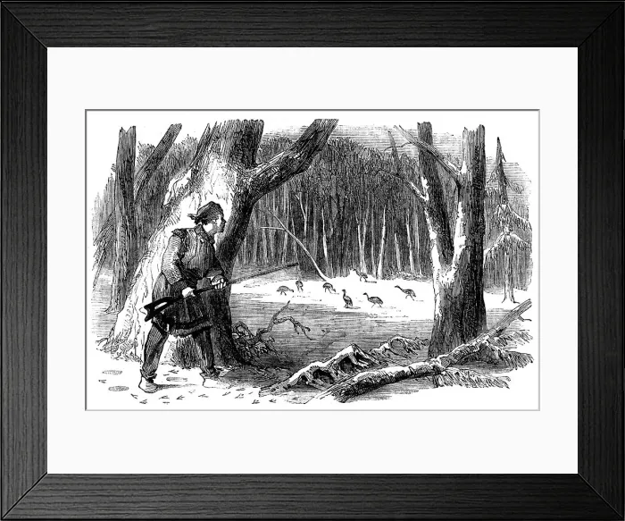 Framed Print : Sporting Scenes in Canada - Wild Turkey Shooting, 1858. Creator: Unknown Framed Print : Sporting Scenes in Canada - Wild Turkey Shooting, 1858. Creator: Unknown
