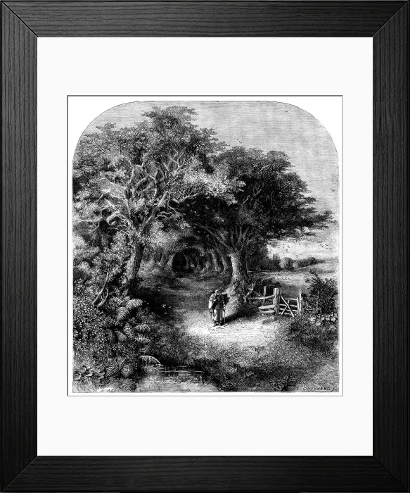 Framed Print : Falling Leaves, 1858. Creator: H. Shepherd Framed Print : Falling Leaves, 1858. Creator: H. Shepherd