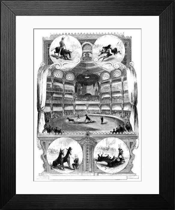 Framed Print : The Educated Mules at the Alhambra Palace, 1858. Creator: Unknown Framed Print : The Educated Mules at the Alhambra Palace, 1858. Creator: Unknown