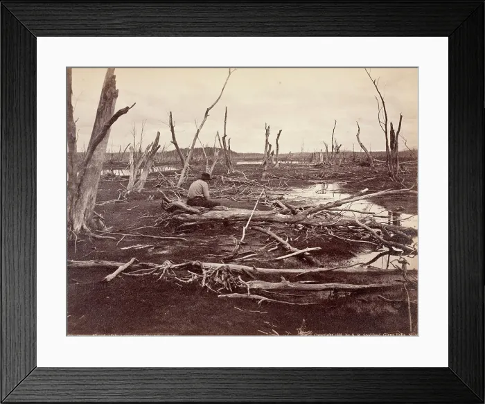 Framed Print : Drowned Lands Of The Raquette Lake, Printed 1888. Creator: Seneca Ray Stoddard