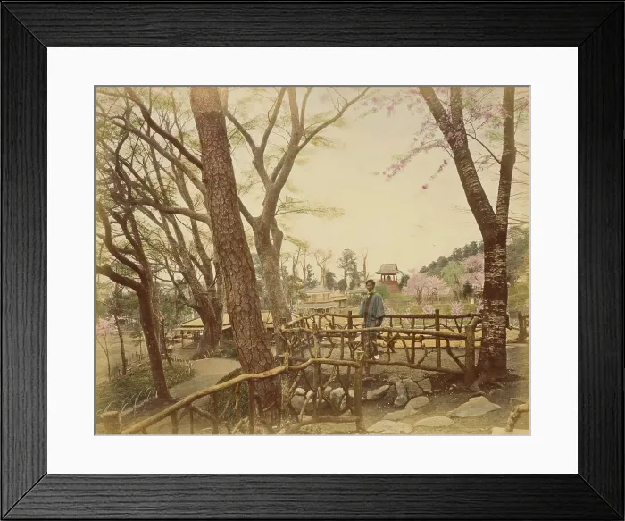 Framed Print : Public Garden, 1865. Creator: Unknown Framed Print : Public Garden, 1865. Creator: Unknown