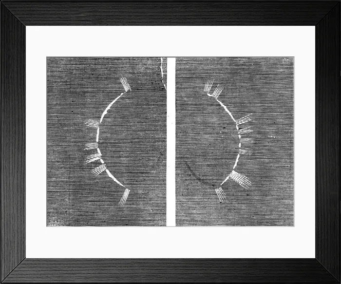 Framed Print : The Eclipse of the Sun on July 18 in Spain - beginning of the corona - from a sketch by... 1860. Creator: Unknown Framed Print : The Eclipse of the Sun on July 18 in Spain - beginning of the corona - from a sketch by... 1860. Creator: Unknown