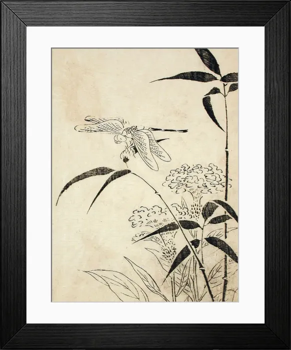 Framed Print : Dragonfly, Coxcomb and Bamboo, Printed 1762. Creator: Miyazaki Yuzen Framed Print : Dragonfly, Coxcomb and Bamboo, Printed 1762. Creator: Miyazaki Yuzen