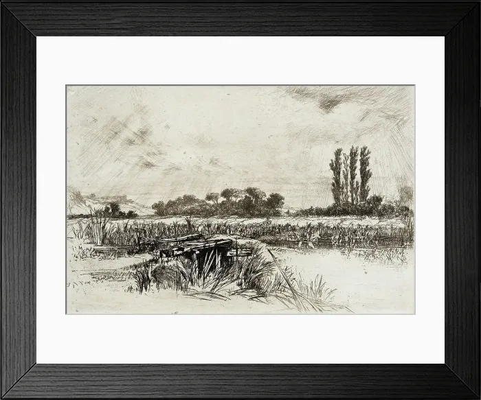 Framed Print : A Water Meadow, 1859. Creator: Francis Seymour Haden Framed Print : A Water Meadow, 1859. Creator: Francis Seymour Haden