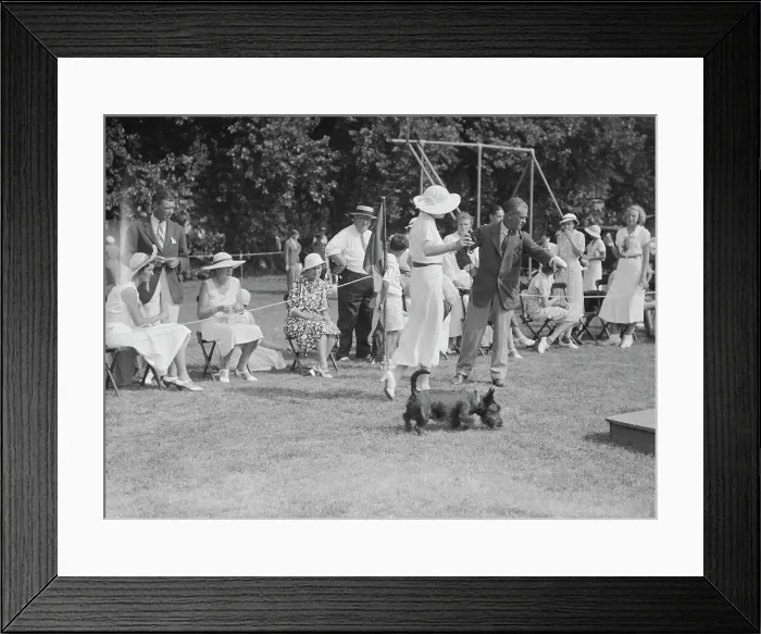 Framed Print : Dog show, East Hampton, Long Island, between 1933 and 1942. Creator: Arnold Genthe Framed Print : Dog show, East Hampton, Long Island, between 1933 and 1942. Creator: Arnold Genthe