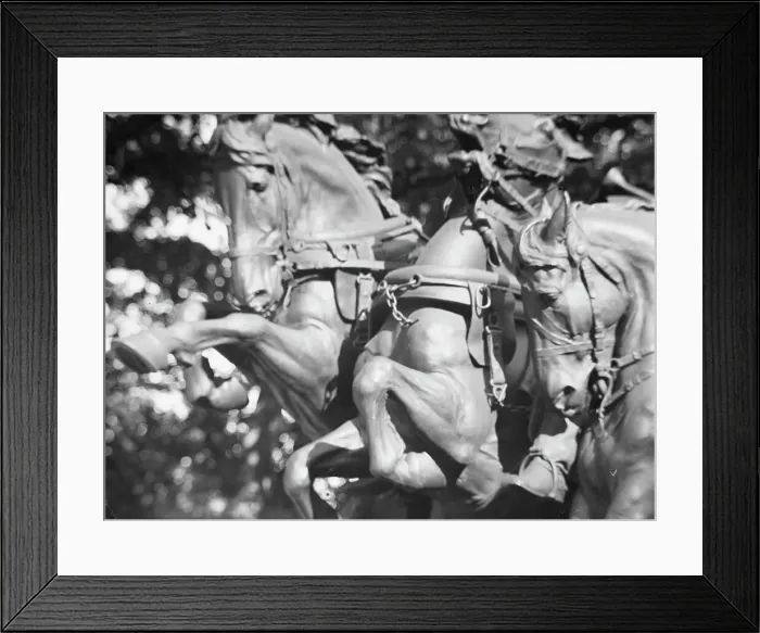 Framed Print : Ulysses S. Grant Memorial - Equestrian statues in Washington, D.C. between 1911 and 1942. Creator: Arnold Genthe Framed Print : Ulysses S. Grant Memorial - Equestrian statues in Washington, D.C. between 1911 and 1942. Creator: Arnold Genthe