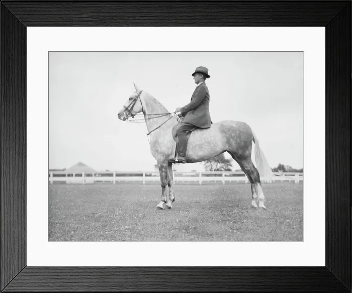 Framed Print : Fletcher, Mr. on a horse, 1933 July. Creator: Arnold Genthe Framed Print : Fletcher, Mr. on a horse, 1933 July. Creator: Arnold Genthe