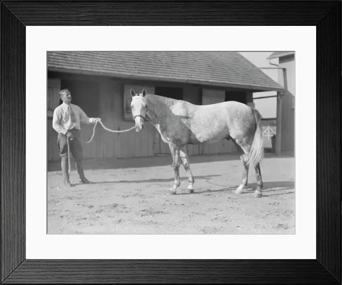 Framed Print : Fletcher, Walter D. Fletcher, with horse, 1934 Sept. Creator: Arnold Genthe Framed Print : Fletcher, Walter D. Fletcher, with horse, 1934 Sept. Creator: Arnold Genthe