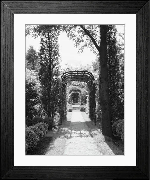 Framed Print : Garden, East Hampton, Long Island, between 1933 and 1942. Creator: Arnold Genthe Framed Print : Garden, East Hampton, Long Island, between 1933 and 1942. Creator: Arnold Genthe