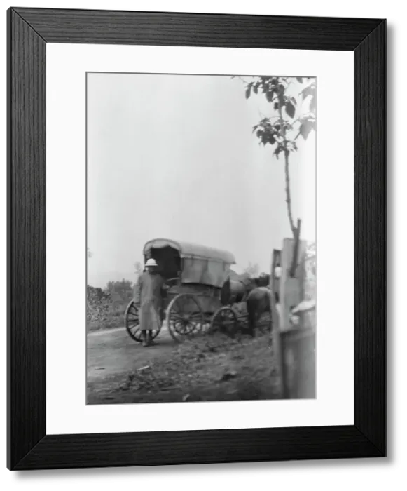 Framed Print : Man standing behind a horse-drawn wagon, Japan, 1908. Creator: Arnold Genthe Framed Print : Man standing behind a horse-drawn wagon, Japan, 1908. Creator: Arnold Genthe