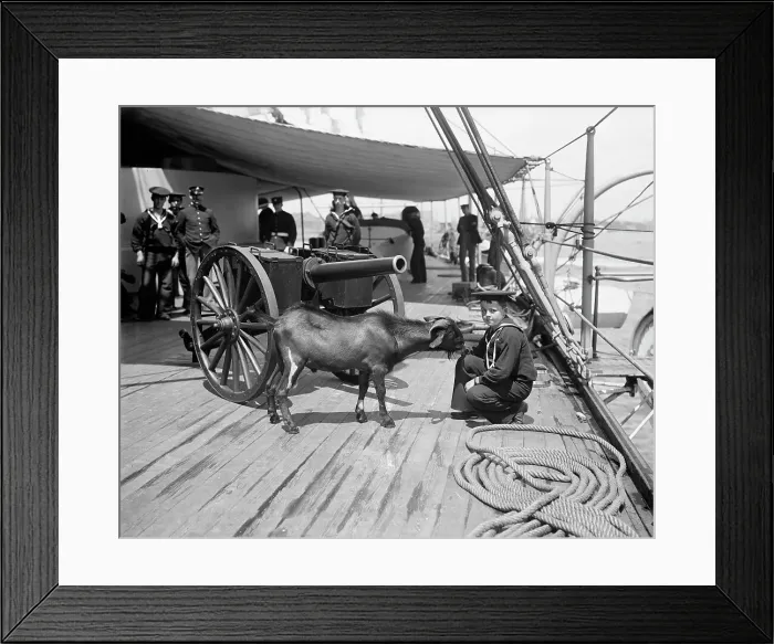 Framed Print : U.S.S. New York, Admiral Sampson's son and Pitch the mascot, (1899?). Creator: Unknown. U.S.S. New York, Admiral Sampson's son and Pitch the mascot, (1899?). Creator: Unknown Framed Print : U.S.S. New York, Admiral Sampson's son and Pitch the mascot, (1899?). Creator: Unknown. U.S.S. New York, Admiral Sampson's son and Pitch the mascot, (1899?). Creator: Unknown