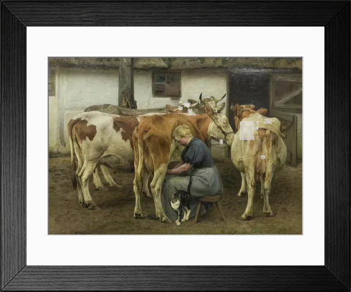 Framed Print : Milking the Cows. West Jutland, 1897-1899. Creator: Niels Pedersen Mols Framed Print : Milking the Cows. West Jutland, 1897-1899. Creator: Niels Pedersen Mols