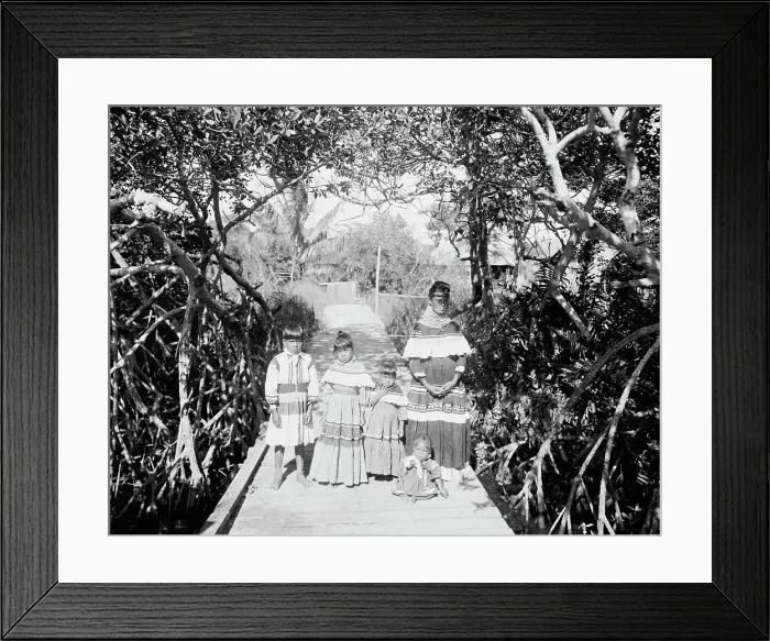 Framed Print : A Seminole mother and children, c.between 1910 and 1920. Creator: Unknown Framed Print : A Seminole mother and children, c.between 1910 and 1920. Creator: Unknown