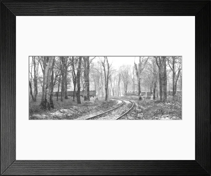 Framed Print : La Capitulation Allemande; A Rethondes; le décor de la capitulation allemande, en foret... 1918. Creator: Unknown Framed Print : La Capitulation Allemande; A Rethondes; le décor de la capitulation allemande, en foret... 1918. Creator: Unknown