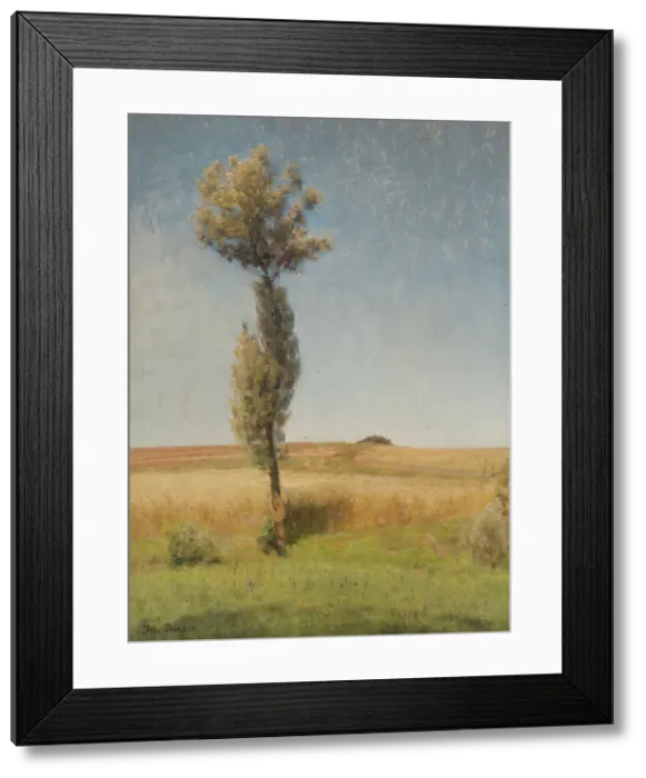 Framed Print : The Tree. Creator: Julius Paulsen Framed Print : The Tree. Creator: Julius Paulsen