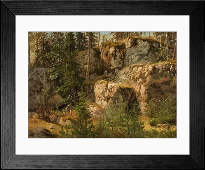 Framed Print : Stony Forest, 1853. Creator: Markus Larsson Framed Print : Stony Forest, 1853. Creator: Markus Larsson