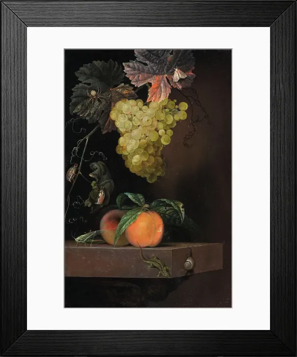 Framed Print : Still Life with Fruit, Lizard and Insects, 1664. Creator: Ottmar Elliger Framed Print : Still Life with Fruit, Lizard and Insects, 1664. Creator: Ottmar Elliger