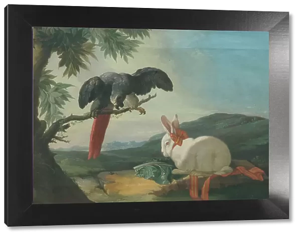 Parrot and Rabbit, 1750s. Creator: Johan Pasch