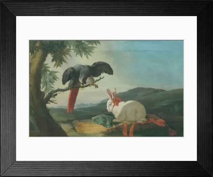Framed Print : Parrot and Rabbit, 1750s. Creator: Johan Pasch Framed Print : Parrot and Rabbit, 1750s. Creator: Johan Pasch