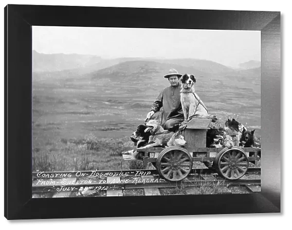 Man and dogs on rail cart trip from Shelton to Nome, 1912. Creator: Unknown