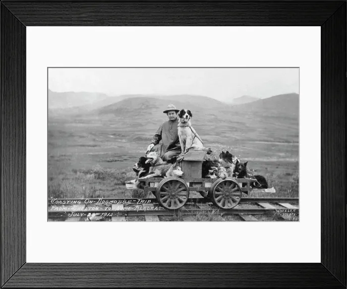 Framed Print : Man and dogs on rail cart trip from Shelton to Nome, 1912. Creator: Unknown Framed Print : Man and dogs on rail cart trip from Shelton to Nome, 1912. Creator: Unknown