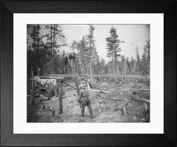 Framed Print : Sawing a log, 1916. Creator: Unknown Framed Print : Sawing a log, 1916. Creator: Unknown