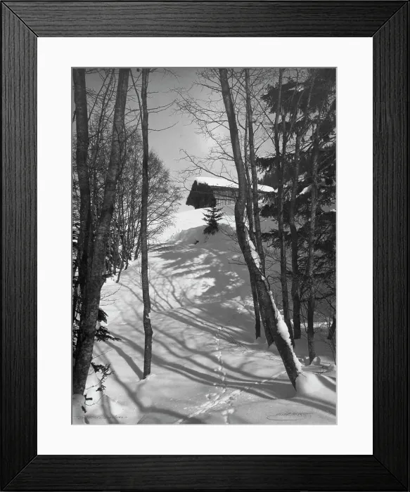 Framed Print : Animal tracks in the snow, 1916. Creator: Unknown Framed Print : Animal tracks in the snow, 1916. Creator: Unknown