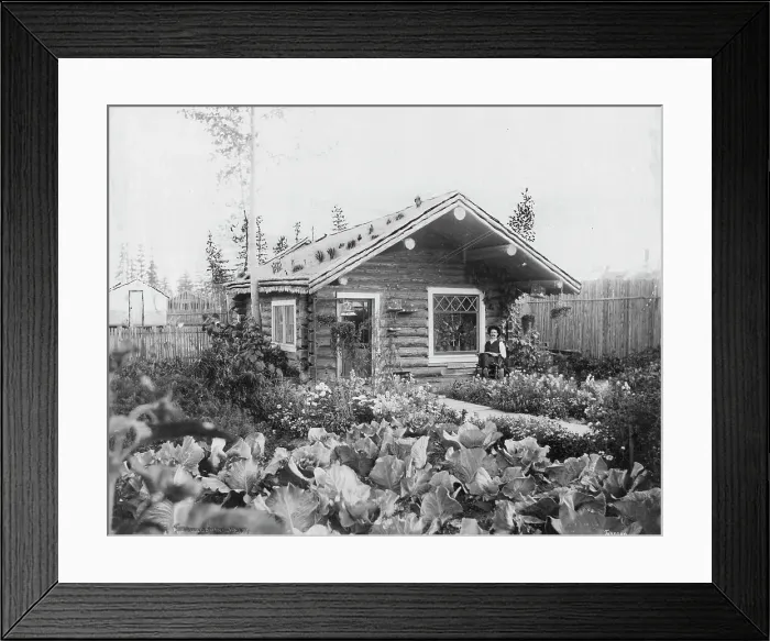 Framed Print : Sourdough's home, 1916. Creator: Unknown Framed Print : Sourdough's home, 1916. Creator: Unknown