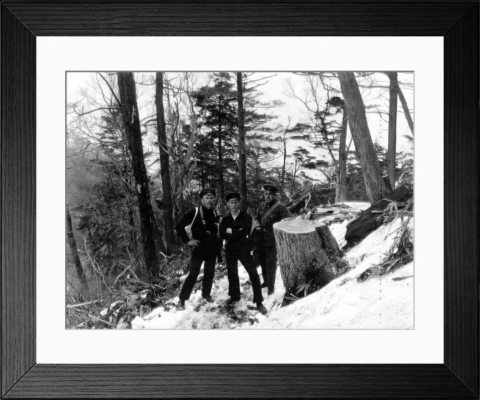Framed Print : Members of an Expedition in Suchan, 1920-1929. Creator: Mikhail Alekseevich Pavlov Framed Print : Members of an Expedition in Suchan, 1920-1929. Creator: Mikhail Alekseevich Pavlov