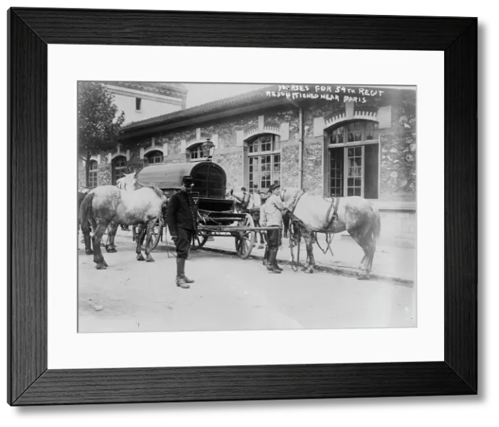 Framed Print : Horses for 59th Regt. requisitioned near Paris, 14 Aug 1914. Creator: Bain News Service Framed Print : Horses for 59th Regt. requisitioned near Paris, 14 Aug 1914. Creator: Bain News Service