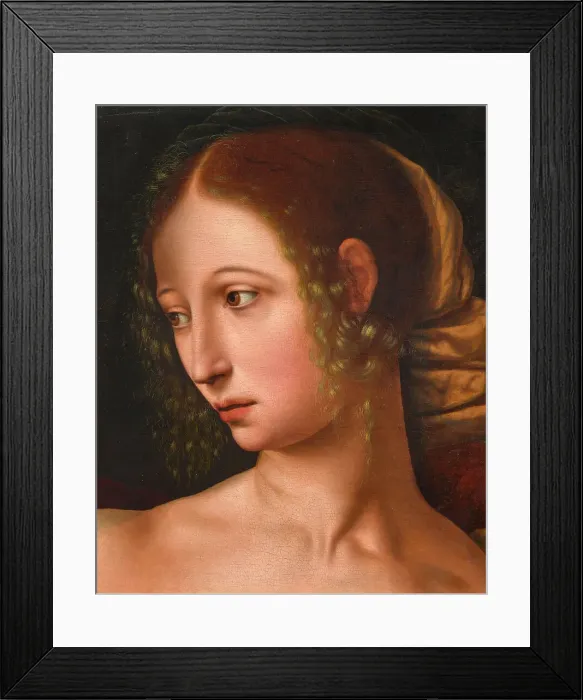 Framed Print : Lucretia. Creator: Hemessen, Jan Sanders, van (c. 1500-c. 1566) Framed Print : Lucretia. Creator: Hemessen, Jan Sanders, van (c. 1500-c. 1566)