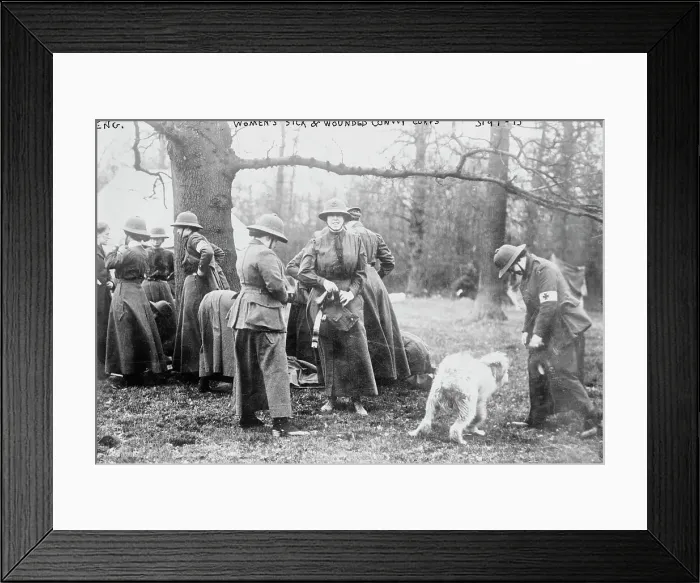 Framed Print : Women's Sick and Wounded Convoy Corps, Eng. between c1910 and c1915. Creator: Bain News Service