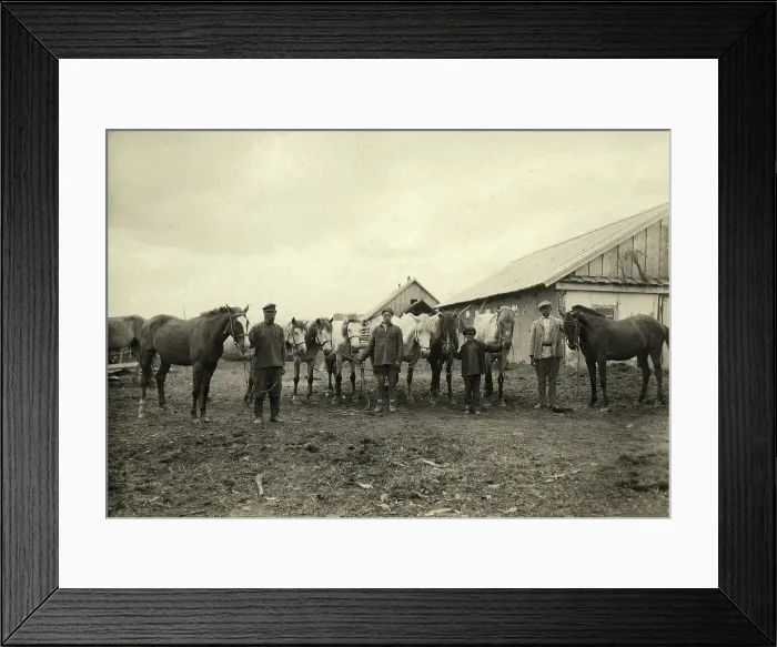 Framed Print : Grooms with horses, 1929. Creator: EI Vaneev Framed Print : Grooms with horses, 1929. Creator: EI Vaneev