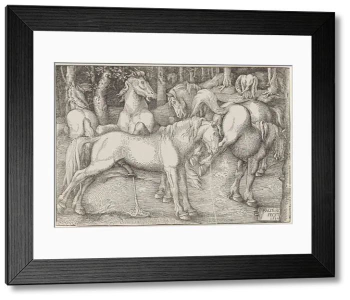 Framed Print : Stallion and Kicking Mare, 1534. Creator: Baldung (Baldung Grien), Hans (1484-1545) Framed Print : Stallion and Kicking Mare, 1534. Creator: Baldung (Baldung Grien), Hans (1484-1545)