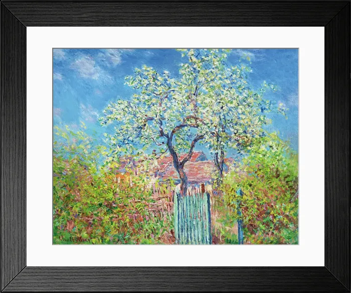 Framed Print : Poirier en Fleurs (Pear Tree in Blossom), 1885. Creator: Monet, Claude (1840-1926) Framed Print : Poirier en Fleurs (Pear Tree in Blossom), 1885. Creator: Monet, Claude (1840-1926)